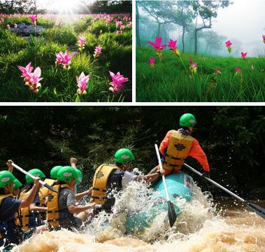 ททท. จับมือ 5 จังหวัดท่องเที่ยว จัดโครงการ “เที่ยวไทย หัวใจสีเขียว”