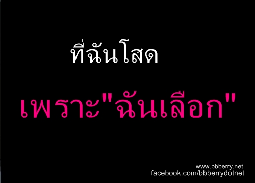 คำคมแบบโดนๆ ต้อนรับวาเลนไทน์