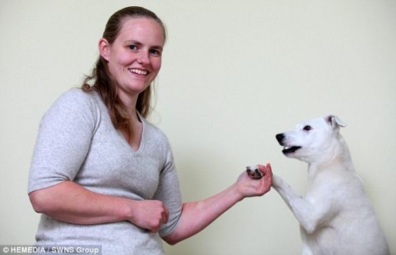 ฮอรัส สุนัขหูหนวกยอดอัจฉริยะสามารถทำตามคำสั่งจากภาษามือ 50 คำสั่ง
