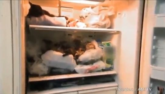 ตะลึง หญิงมะกันเก็บซากแมวในตู้เย็นนับร้อยตัว
