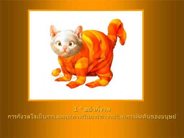 ทุกเรื่องของชีวิต