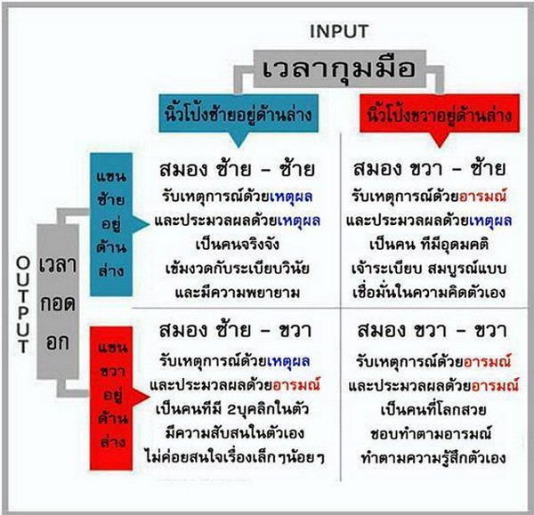 มาเช็คสมองซีกซ้าย ซีกขวาจากการกุมมือ กอดอก