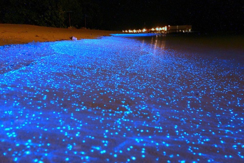 Starry beach, Maldives
