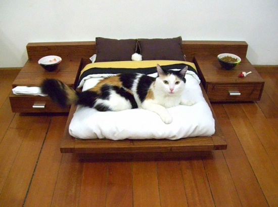 เตียงแมวไซส์มินิ