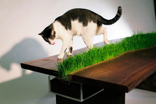 โต๊ะต้นหญ้า