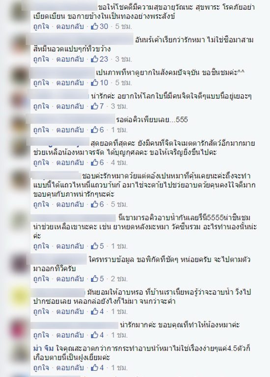 ชาวเน็ตสุดประทับใจ!!! ชม-แชร์ ชายใจดีจับน้องหมาจรจัดอาบน้ำ