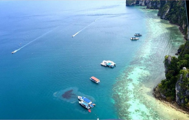 สุดทน! พบภาพแปลกๆบนแนวปะการัง เกาะพีพี แต่พอซูมดูใกล้ๆก็รู้เลยว่า อยู่เฉยไม่ได้แล้ว