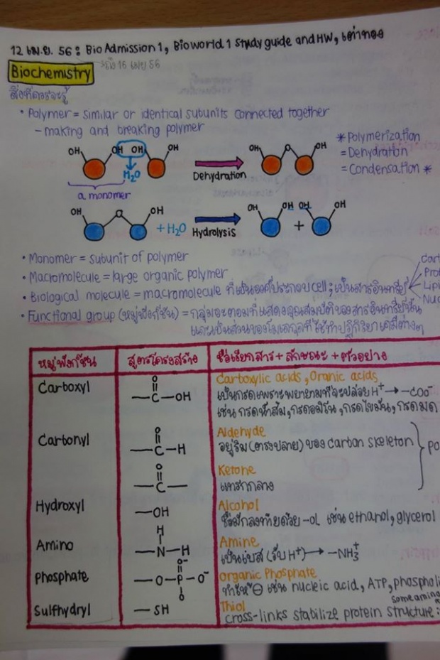 ชาวเน็ตชม!! เลกเชอร์ชีวะ น้องปราง ผู้สอบได้คะแนนแอดมิดชั่นสูงสุด เป๊ะมาก!! (ชมภาพ)