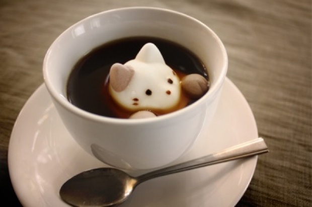 ให้เครื่องดื่มในยามเช้าของคุณน่ารักยิ่งขึ้นด้วย “มาร์ชเมลโล่ว์แมว”