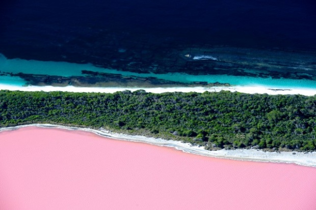 จะฟรุ้งฟริ้งไปไหน!! “Lake Hillier” (เลค ฮิลเลอร์) ทะเลสาบสีชมพูประเทศออสเตรเลีย