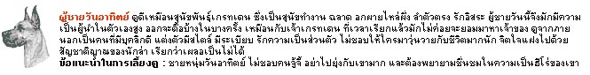 ผู้ชายดูง่ายกว่าหมา..จริงหรอ!!