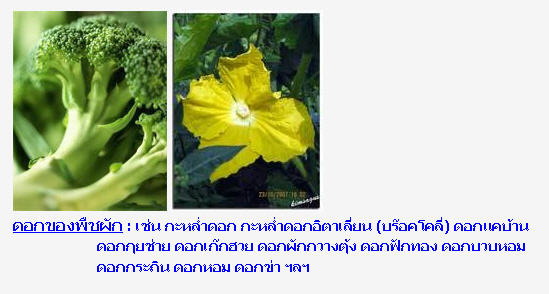 ดอกไม้ไทยกินได้  