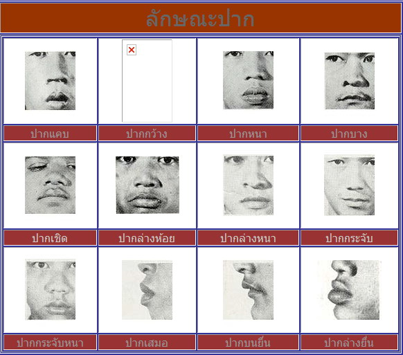  หลักการสังเกตและจดจำลักษณะบุคคล  