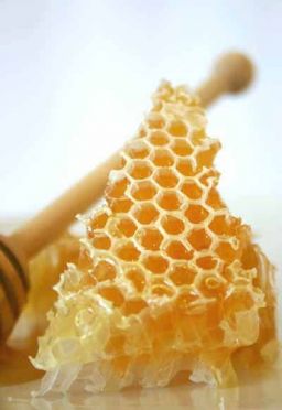 Honey Heal เยียวยา 20 โรคภัยด้วยความหวาน