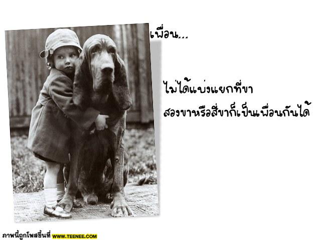 เพื่อนเอย~~~~~