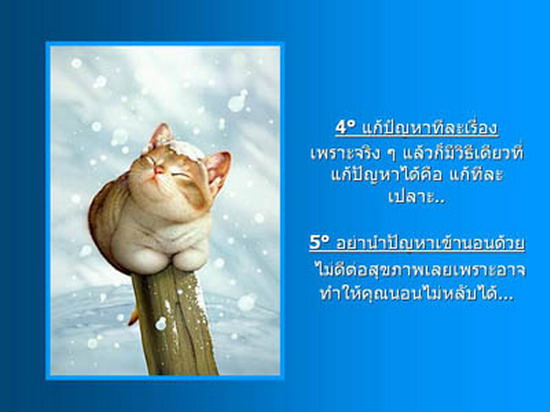 ...10 เรื่องดีดี...