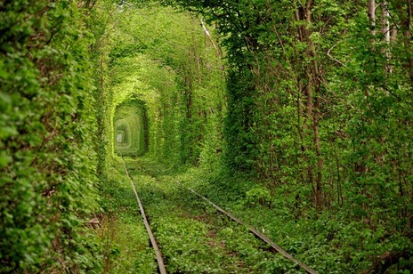 อุโมงค์แห่งความรัก อุโมงค์รถไฟที่โรแมนติกที่สุดในโลก