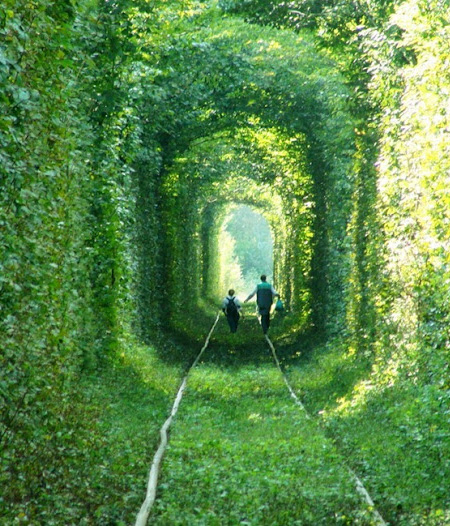 อุโมงค์แห่งความรัก อุโมงค์รถไฟที่โรแมนติกที่สุดในโลก