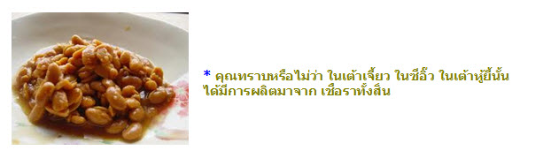 วิทยาศาสตร์ในชีวิตประจำวัน