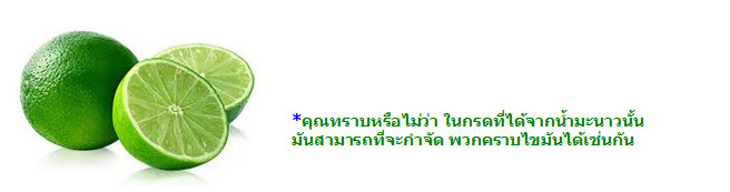 วิทยาศาสตร์ในชีวิตประจำวัน