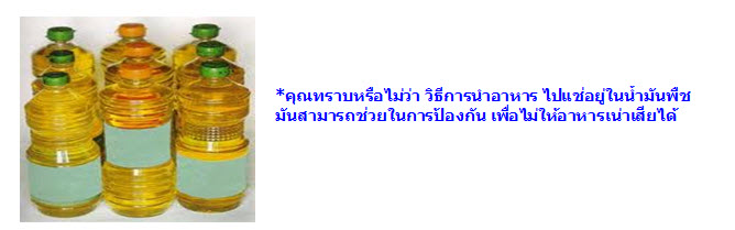 วิทยาศาสตร์ในชีวิตประจำวัน