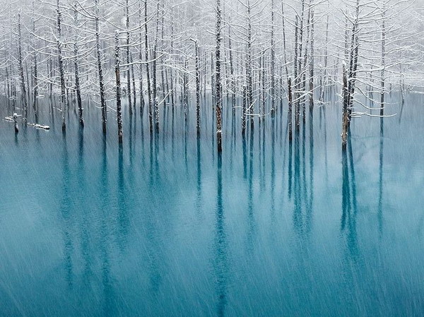 ความสวยงามเกินบรรยาย บึงน้ำสีฟ้า  ในญี่ปุ่น