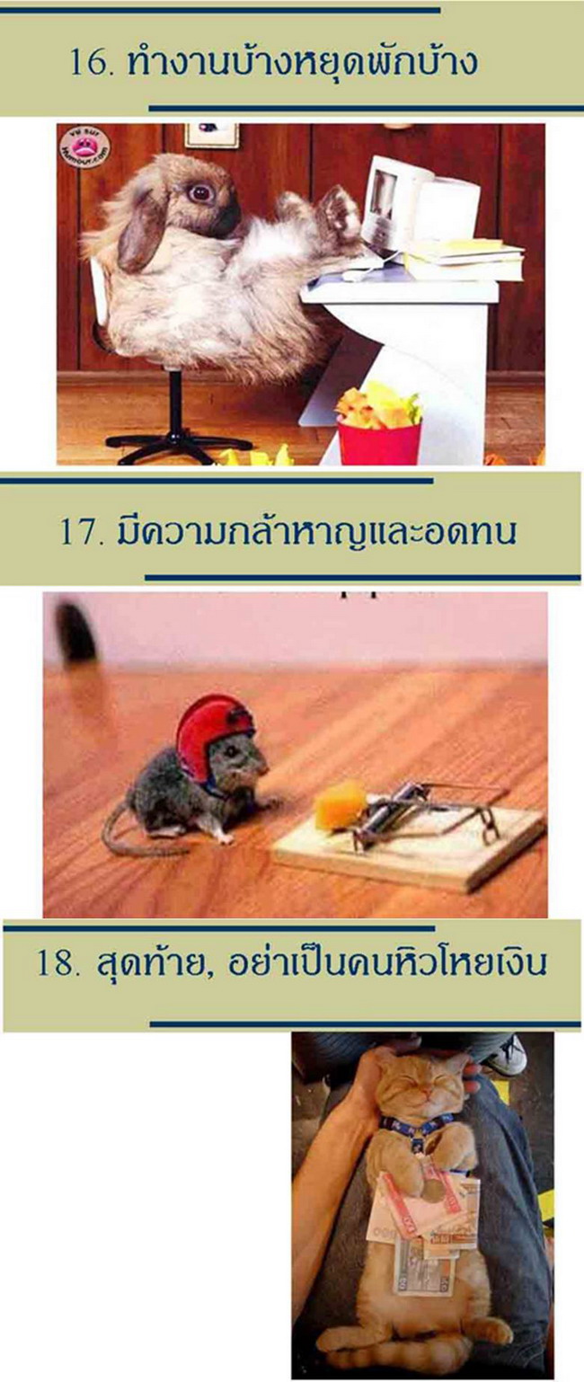 18 วิธีที่จะทำให้ชีวิตมีความสุข...น่ารักดี