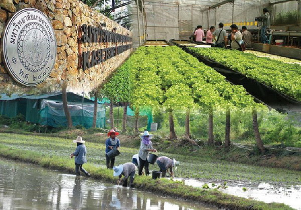 ม.เกษตรศาสตร์ ติดอันดับ 48 จัดอันดับมหา′ลัยโลก-ที่ 1 ประเทศไทย 2 ปีซ้อน 