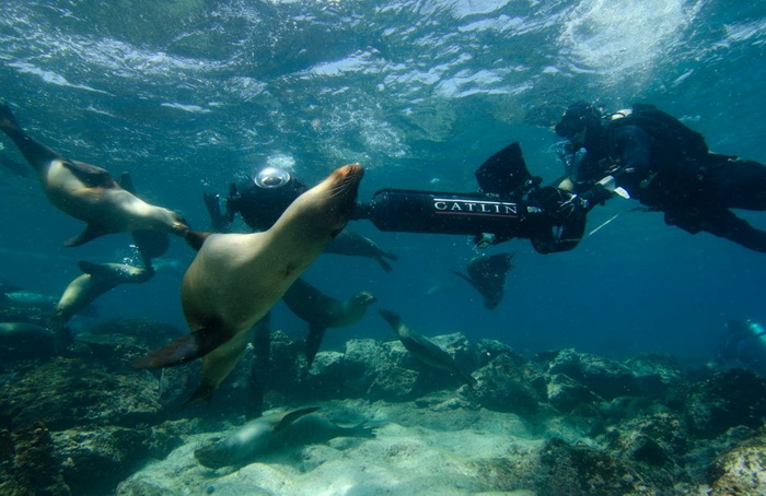 กล้องใต้น้ำกับมุมมองรอบเกาะ Galápagos  