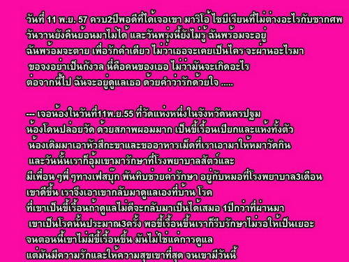 นี่คือไซบีเรียนที่ถูกทิ้งในวัด และเมื่อผ่านไป 2 ปี มันก็ได้เกิดใหม่อีกครั้ง!?!