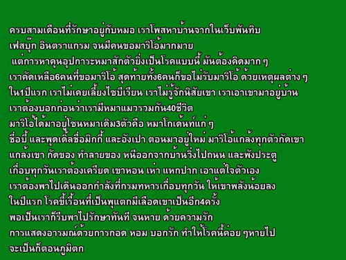 นี่คือไซบีเรียนที่ถูกทิ้งในวัด และเมื่อผ่านไป 2 ปี มันก็ได้เกิดใหม่อีกครั้ง!?!