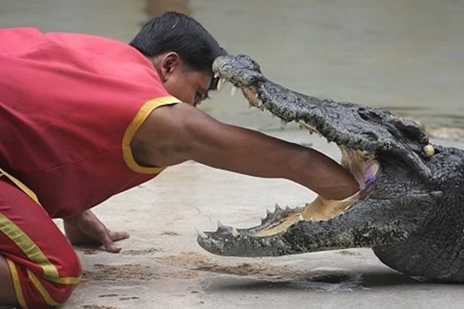 สุดยอด 9 ที่เที่ยวหนึ่งเดียวในไทย ที่สุดของโลก!