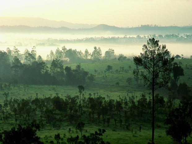 สถานที่สำหรับคนรักธรรมชาติ ทุ่งแสลงหลวง