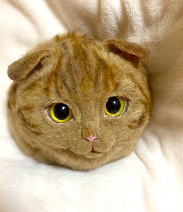เหมือนเกิ๊น!! กระเป๋าแมวสุดฮิตในญี่ปุ่น..ในราคาที่แบรนด์เนมยังต้องชิดซ้าย!!