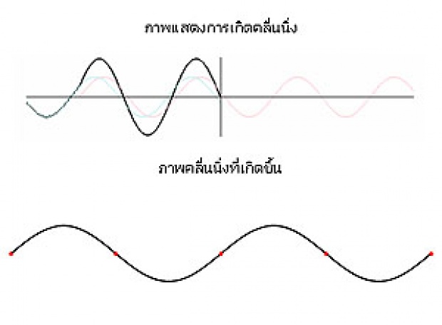 งงไหม?มดอยู่ในไมโครเวฟทำไมไม่ตาย