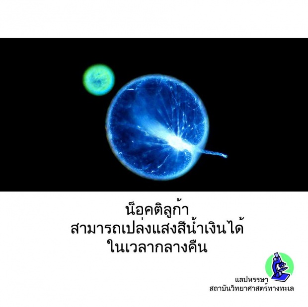 12 เรื่องจริงเกี่ยวกับสัตว์!! ที่คุณอาจยังไม่เคยรู้