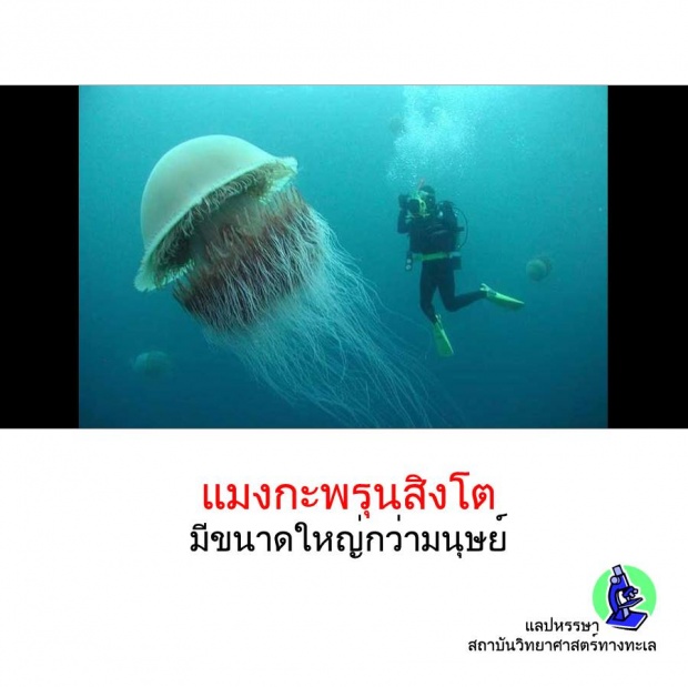 12 เรื่องจริงเกี่ยวกับสัตว์!! ที่คุณอาจยังไม่เคยรู้