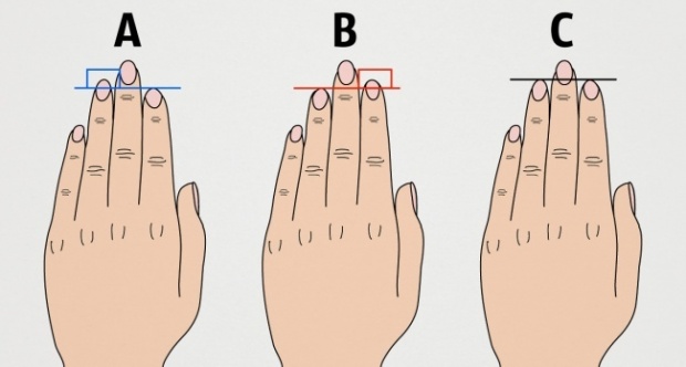 ความยาวของนิ้วมือสามารถบอกลักษณะนิสัยของคุณได้ 