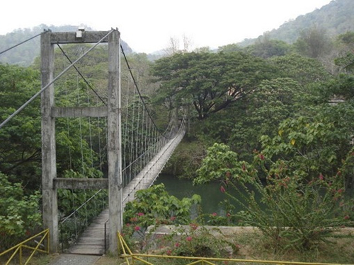 Hanging Bridge at Thenmala, India