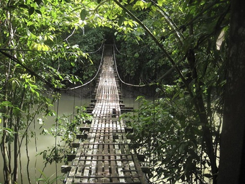 Hanging Bridge in Drake Bay, Costa Rica