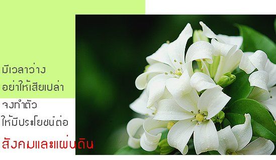 อำนาจ วาสนา บารมี