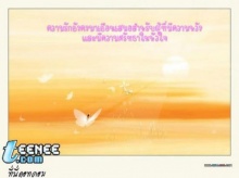 เรื่องจริงของความรัก