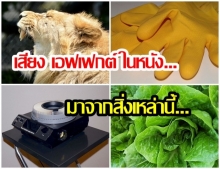 สุดเจ๋ง! 12 ไอเทม ที่ถูกใช้เป็นเสียง เอฟเฟกต์ ในภาพยนตร์