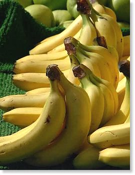 เรื่องกล้วย ๆที่ไม่กล้วย และยิ่งกว่ากล้วย