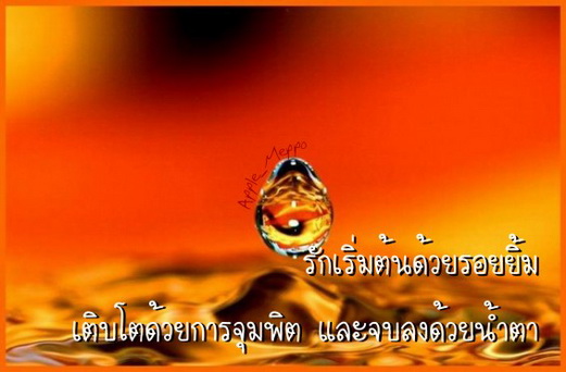 ..เพื่อนที่ดีเหมือนดวงดาว...