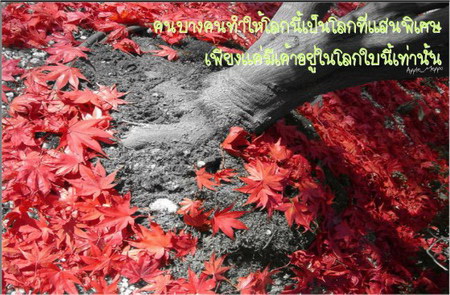 ..เพื่อนที่ดีเหมือนดวงดาว...