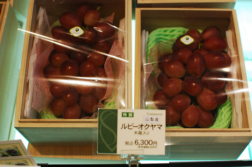 เชื่อหรือไม่! ที่ญี่ปุ่นผลไม้มีค่าดั่งทองคำ เมลอนลูกละเกือบ 7,000 ทำไมเขาจึงขายได้?