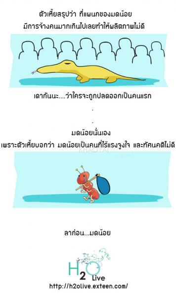 ความจริงในสังคม 