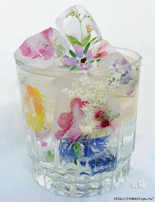 ไอศครีม และ น้ำแข็งดอกไม้
