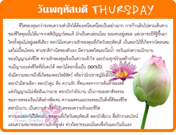 ดอกไม้แห่งความรักประจำวันเกิด 